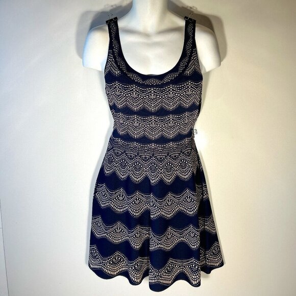 BCBGMaxAzria SZ L Navy & Cream sweater tank dress Layers Timeless Preppy Office - Picture 1 of 9